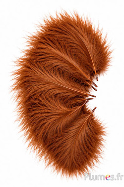 Tacchino marabù - 8-12 cm - dorato azteco